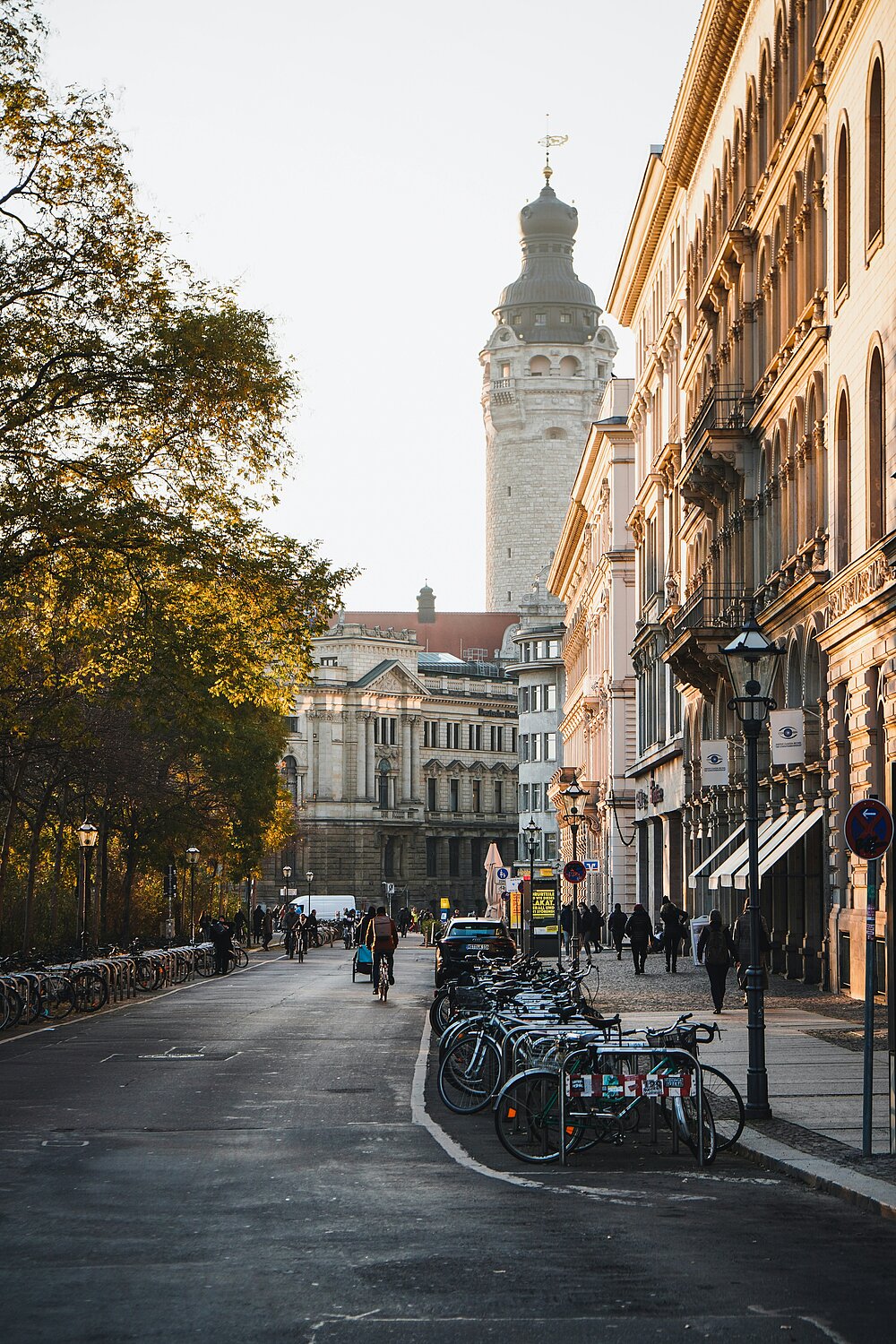 (c) Clara Pfister / Unsplash